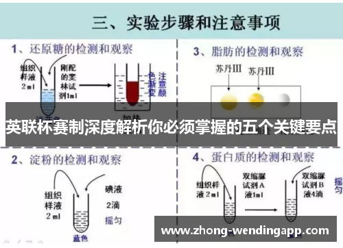 英联杯赛制深度解析你必须掌握的五个关键要点