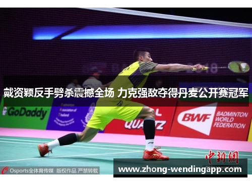 戴资颖反手劈杀震撼全场 力克强敌夺得丹麦公开赛冠军