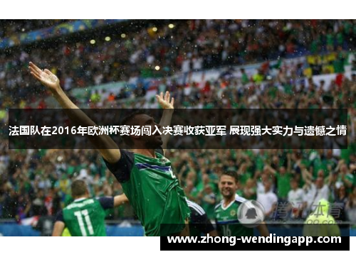 法国队在2016年欧洲杯赛场闯入决赛收获亚军 展现强大实力与遗憾之情